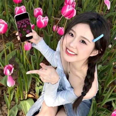 篷车之旅
