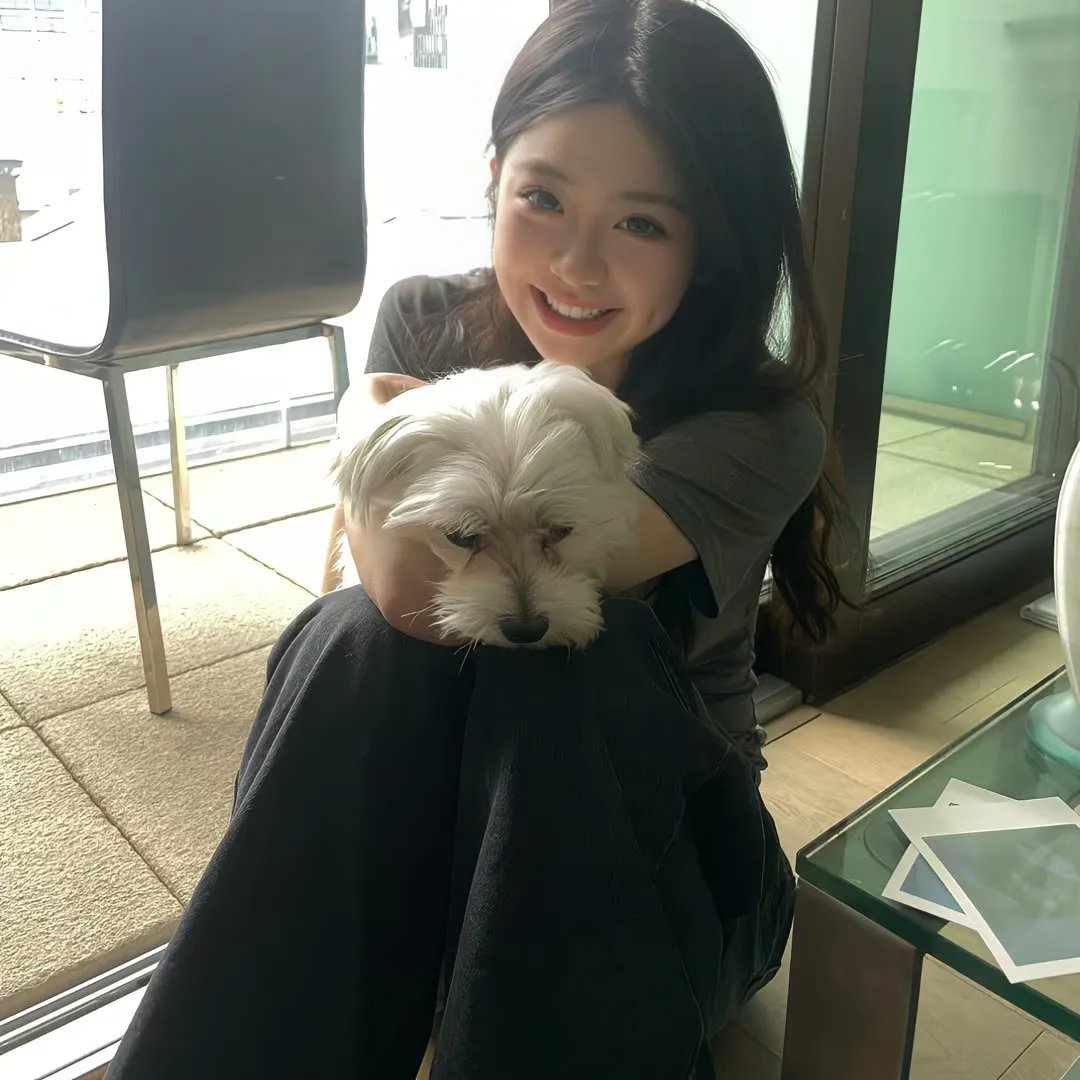 熊猫历险记